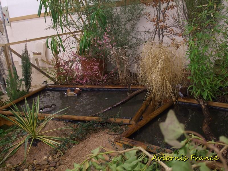 Bassin de présentation