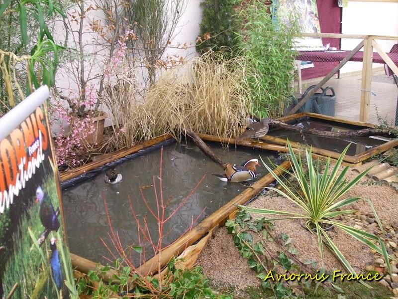 Bassin de présentation