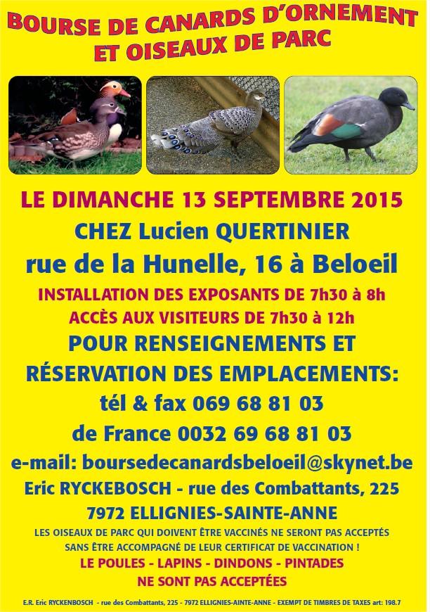 Bourse de canards Beloeil (Belgique) 2015 Bourse de canards Beloeil (Belgique) 2015