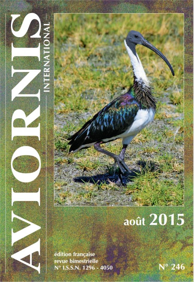 Aviornis France International Revue Aout 2015 Ibis d'Australie