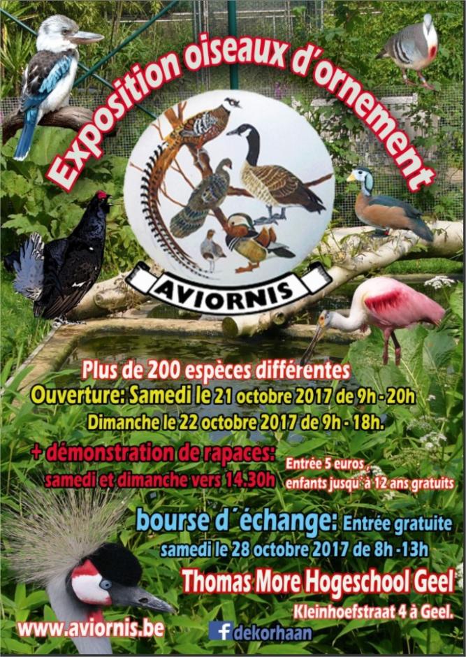 Exposition oiseaux d'ornement, Bourse à Geel (BE) 21 et 22 octobre 2017