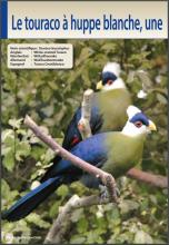 Le touraco à huppe blanche (extrait)