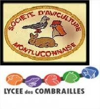 Exposition d'aviculture Montluçon le 25 et 26 novembre 2017 (Allier 03)